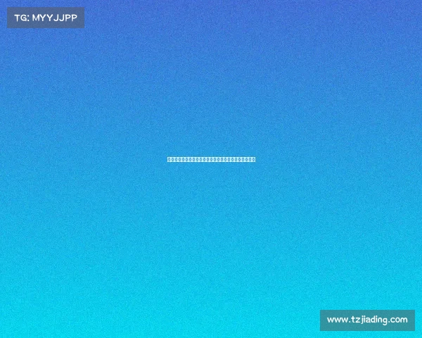 网球比赛设备全面解析：从球拍到场地设施的全方位介绍